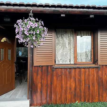 Guest House Gorani Berat Zewnętrze zdjęcie