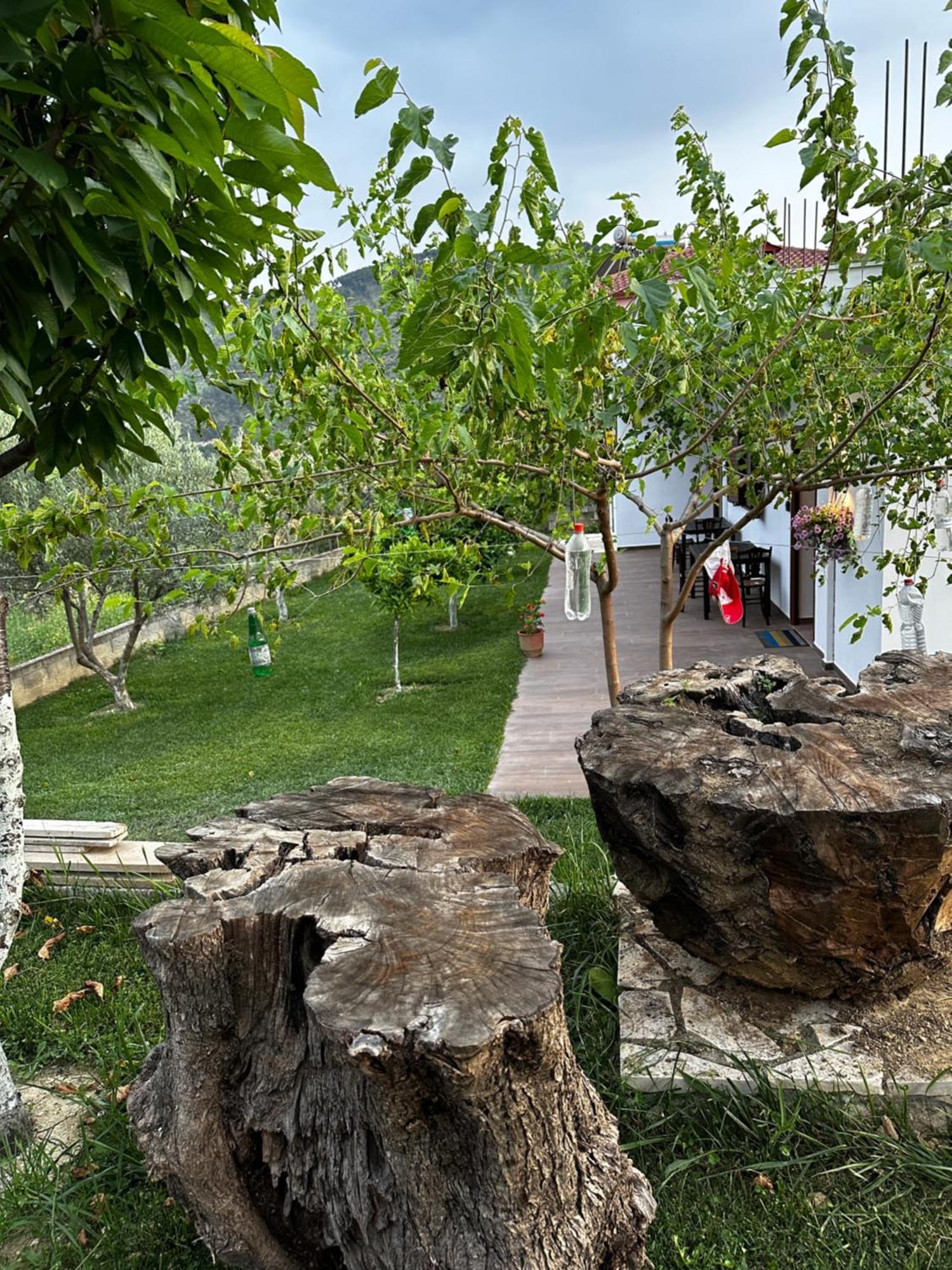 Guest House Gorani Berat Zewnętrze zdjęcie